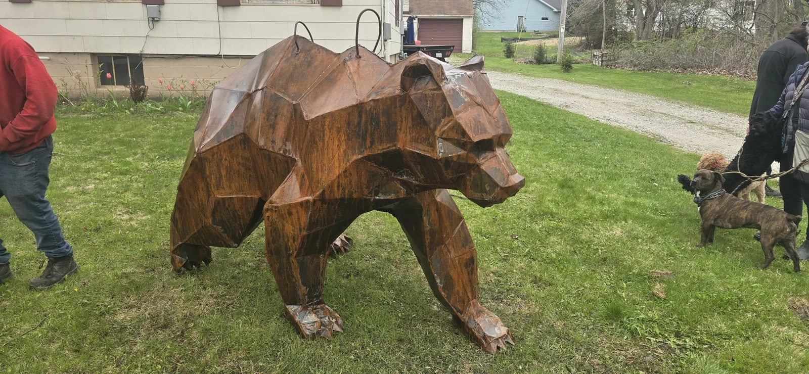 Grizzly Bear: A different angle