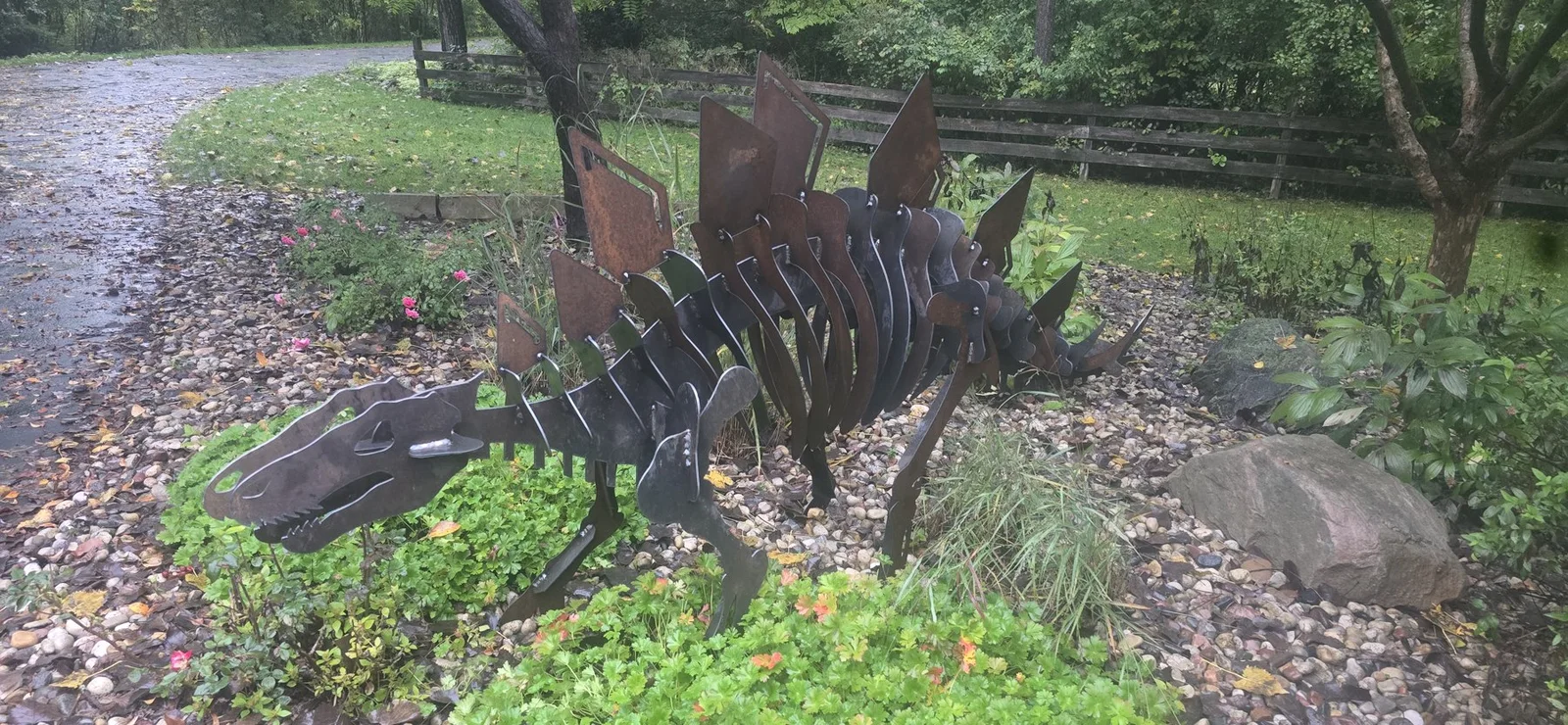 Front view of the Stegosaurus